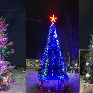 В Ковровском районе выберут лучшую новогоднюю елку