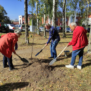 Во Владимире к 175-летию основания драмтеатра высадили 13 берез