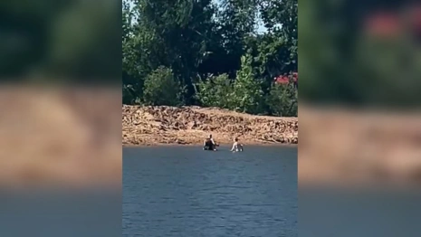 Житель Коврова спас тонущего человека на озере Старка