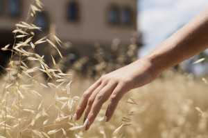 33 день Великого поста: что можно и нельзя 19 апреля 2024 года