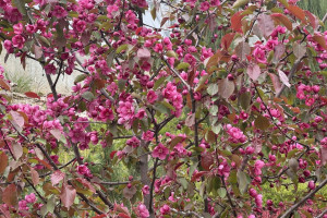 Прогноз погоды во Владимирской области на 23 мая 2025 года