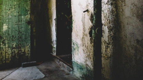 Во Владимирской области администрацию заставили снести заброшенный дом