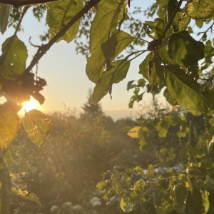 Во Владимирской области пообещали жару в +31 градус