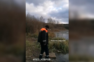 Спасатели предотвратили трагедию с ребенком на пруду в Коврове