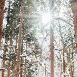 Прогноз погоды во Владимире и области на 8 декабря