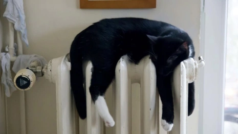 Во Владимире на двух улицах отключат отопление