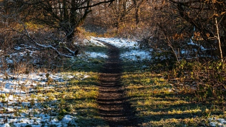 Синоптики предупредили водителей о резких изменениях погоды в марте