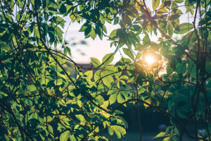 Прогноз погоды во Владимире и области на 8 сентября