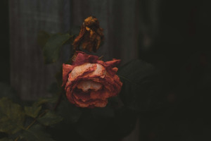 Во Владимире нашли мертвым пропавшего без вести 66-летнего мужчину