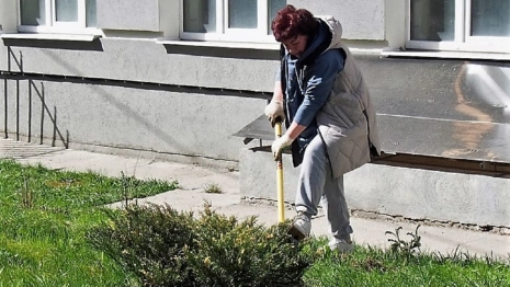 Во Владимире на общегородской субботник вышли 25 тыс. жителей