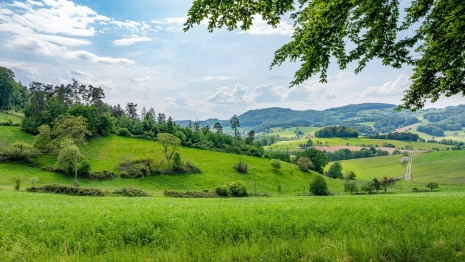 Крупный банк поможет создать систему поддержки особо охраняемых природных территорий