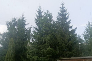 Во Владимирской области неделя кончится дождем и грозой