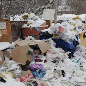 Во Владимире ежедневно до 100 дворов оказываются завалены мусором