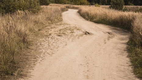Жители владимирской деревни испугались остаться без единственной дороги в город