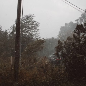 Жителей Владимирской области предупредили о шквальном ветре