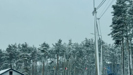 МЧС разослало экстренное предупреждение о непогоде во Владимирской области