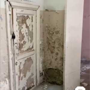 Жительница Собинки «прославила» местную больницу с ободранными стенами