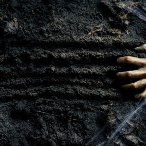 В СНТ «Сунгирь» под Владимиром нашли разложившийся труп мужчины на берегу Клязьмы