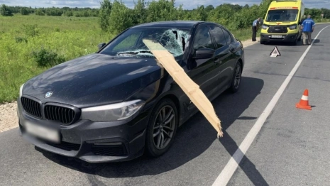 В Муроме водитель BMW чудом выжил после «прилетевшей» в лобовое стекло деревянной доски