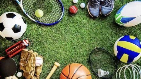 Владимирские спортсмены привезли более 600 медалей за год с соревнований