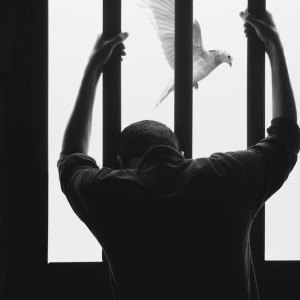 Во Владимирской области осудили участвовавшего в ОПГ наркокурьера