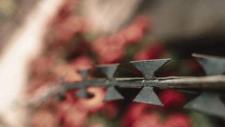 Под Владимиром на кладбище нашли труп человека