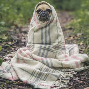 Майские выходные во Владимирской области будут холодными
