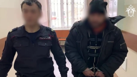 Подозреваемых в убийстве пенсионерки двоих жителей Гусь-Хрустального арестовали