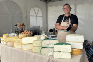 Сыровары из Кольчугино победили на «Фестивале сыра-2025»