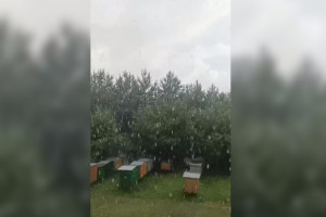 В поселке под Владимиром прошел ливень с грозой