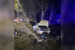 Во Владимирской области иномарка врезалась в бордюр и улетела в дерево