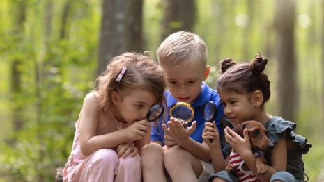 Дырки в стенах лагеря для белгородцев во Владимирской области заделали