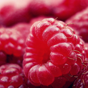 День Космы и Дамиана: что можно и нельзя делать 14 июля