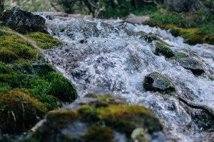 Народные приметы на 2 марта: что можно и нельзя делать в Федоров день