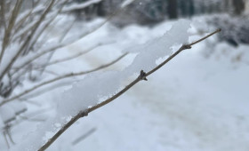 Прогноз погоды во Владимирской области на 21 января 2026 года