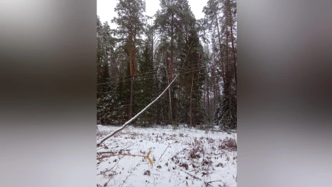 Ледяной дождь обесточил юго-восток Владимирской области