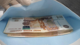 Москвичку будут судить за дачу взятки сотруднику ФСИН во Владимирской области