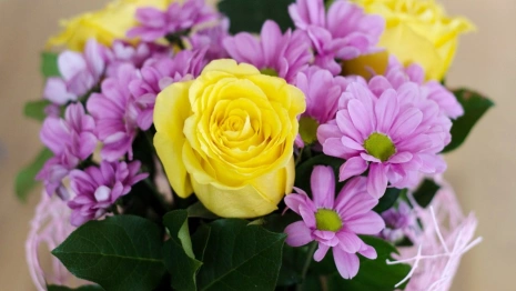 Во Владимирской области 16-летняя девушка и 85-летняя бабушка стали невестами в 2023 