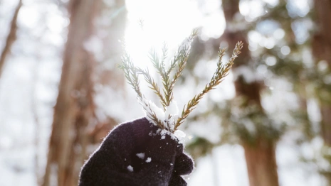 Прогноз погоды во Владимире и области на 11 февраля