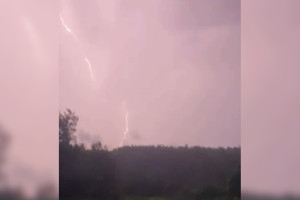 Последствия московского урагана «Охран» во Владимирской области показали на видео