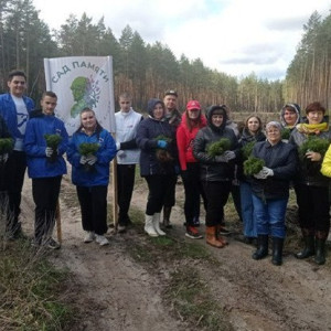 Во Владимирской области высадили почти 20 тысяч сеянцев сосны 