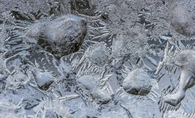 Синоптики спрогнозировали вероятность ЧС во Владимирской области 25 января