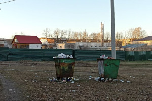 Во Владимире продумали пути избежания мусорного коллапса в новогодние каникулы