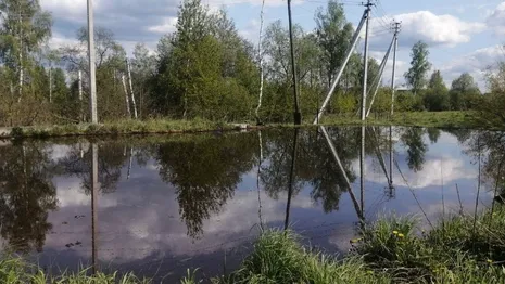 Прокуроры потребовали возбудить уголовное дело из-за гибели рыбы в озере под Киржачом