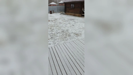 Во Владимирской области 17 марта выпал снег