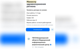 Во Владимирской  области министра здравоохранения ищут по объявлению