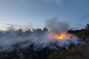 Во владимирском микрорайоне Оргтруд загорелась сухая трава