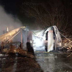 В Меленковском районе загорелась пилорама