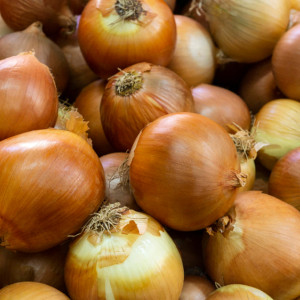 Луков день: что можно и нельзя делать 31 октября