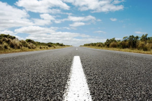 Во Владимире появились улицы Китов луг и Шишкино поле